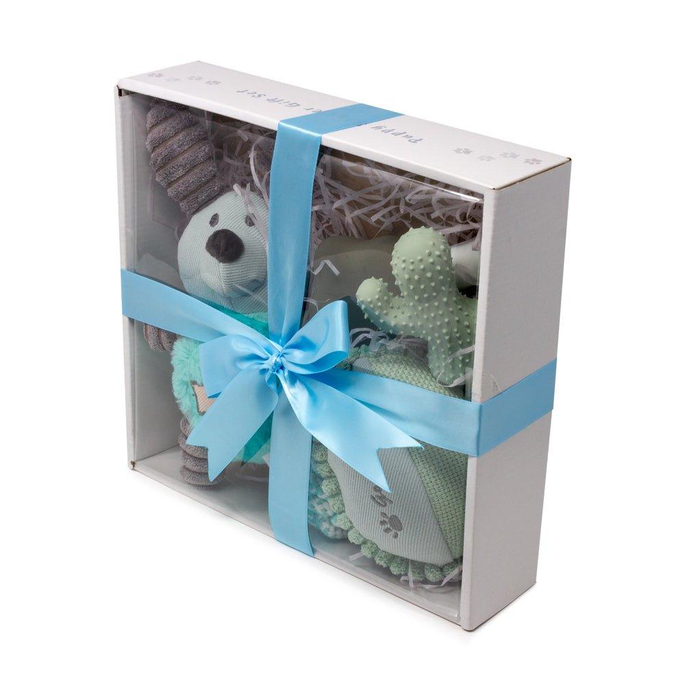 Dog Puppy Gift Set Aqua Blue AllPetSolutions