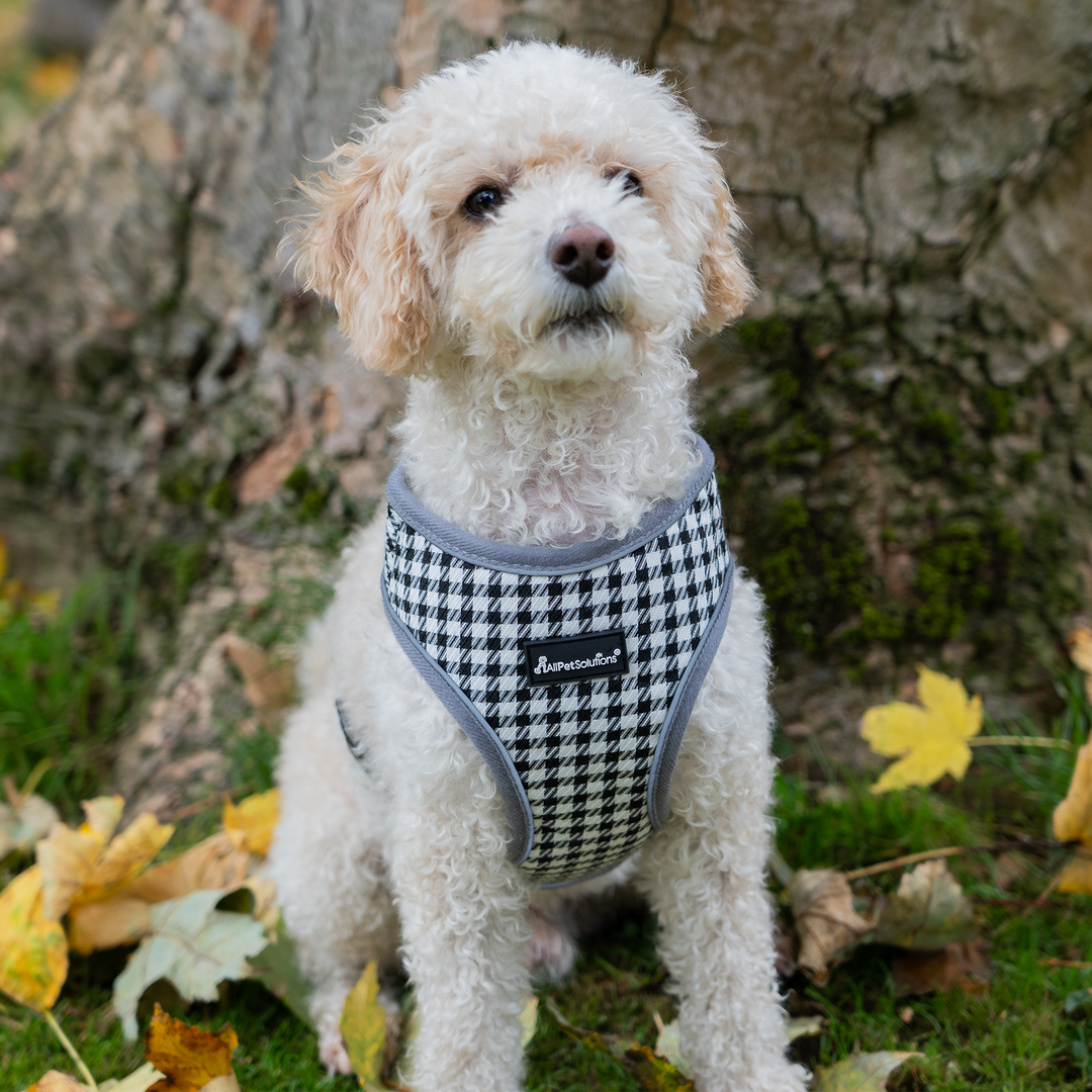 Dog Harness with Reflective Strip in Grey & White Check S/M