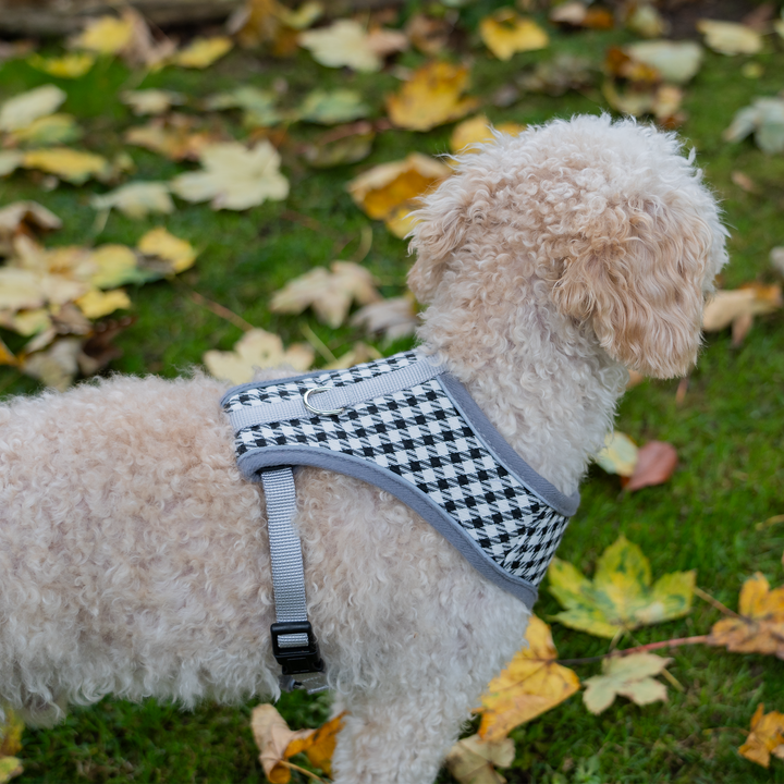 Dog Harness with Reflective Strip in Grey & White Check S/M