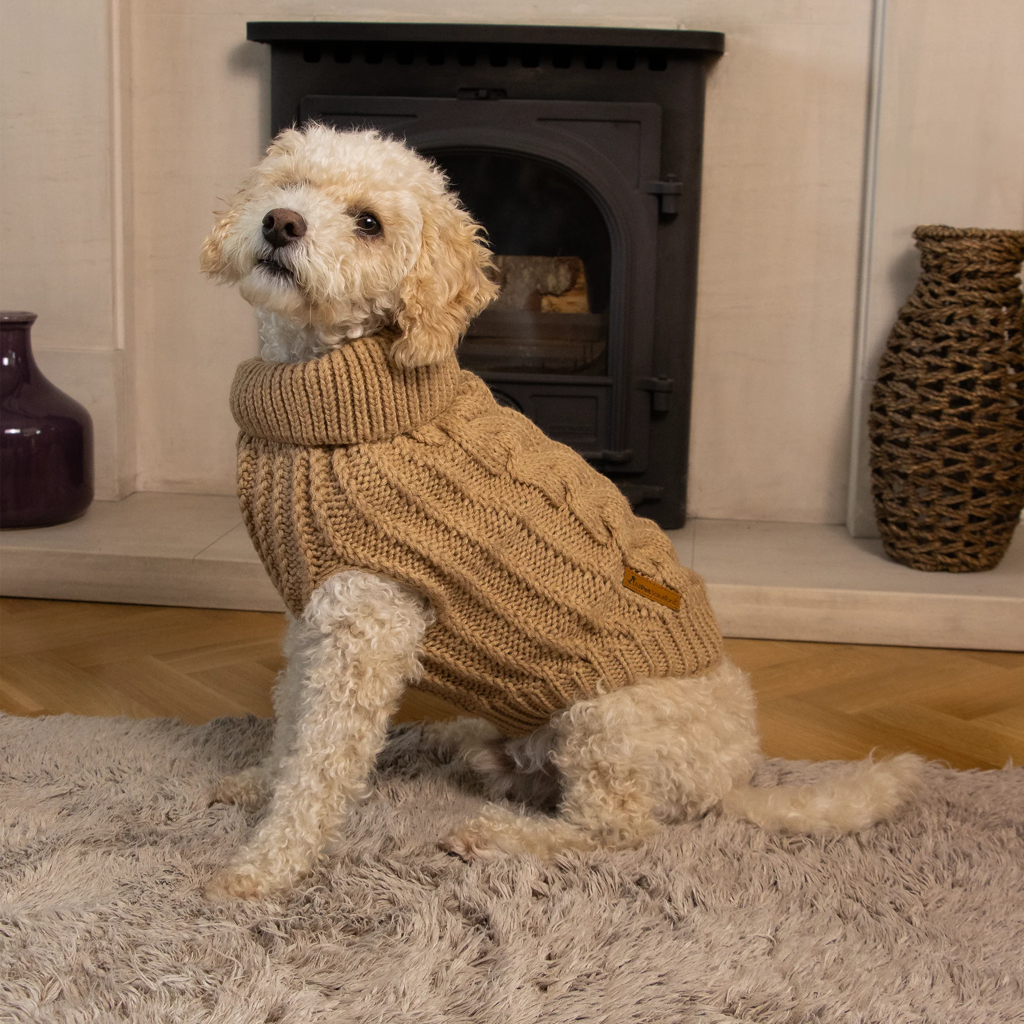 dog jumper brown