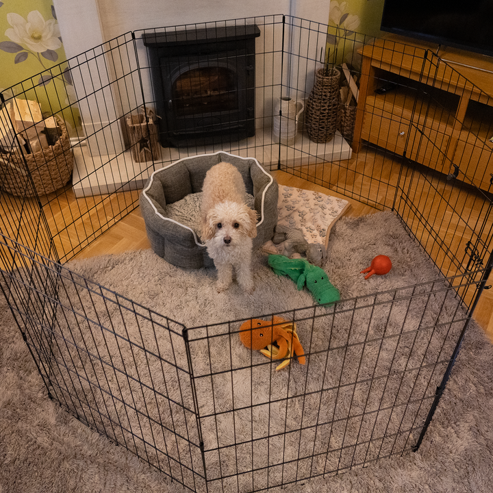 AllPetSolutions Exercise Playpen for Pets - 24 inch / 61 cm