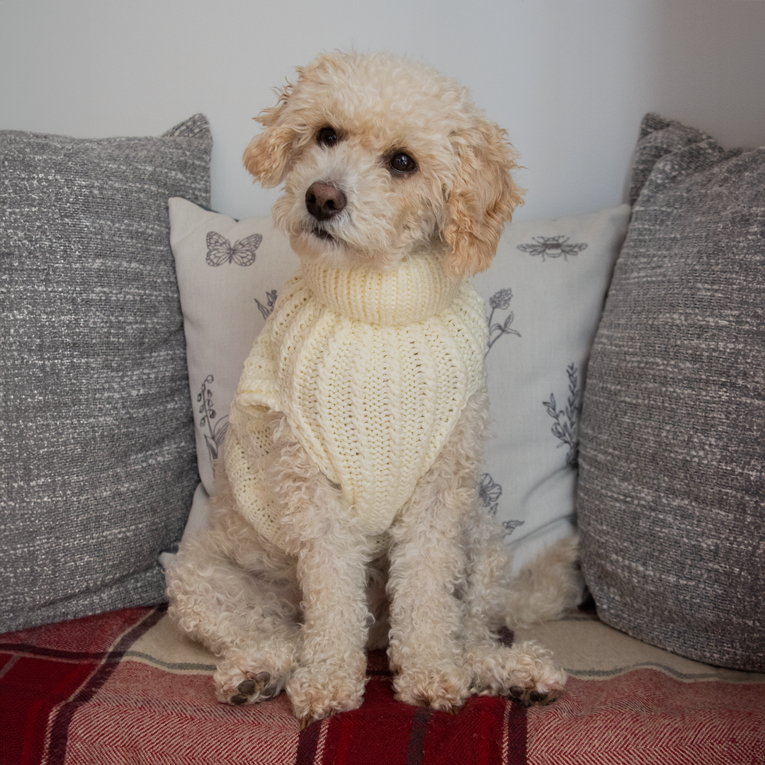 Dog Luxury Knitted Fitted Jumper in Cream – S/M/L