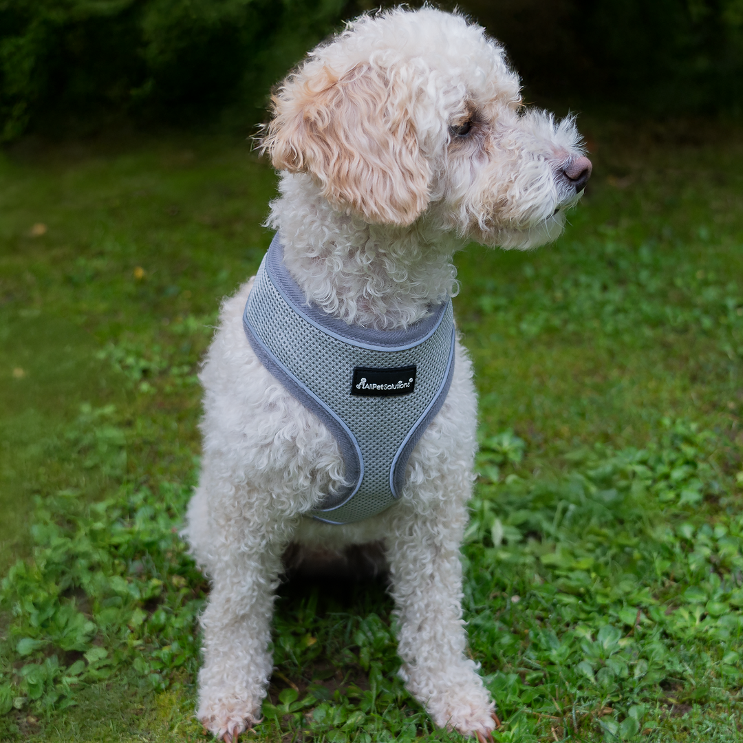 Dog Harness with Reflective Strip in Grey S/M/L/XL