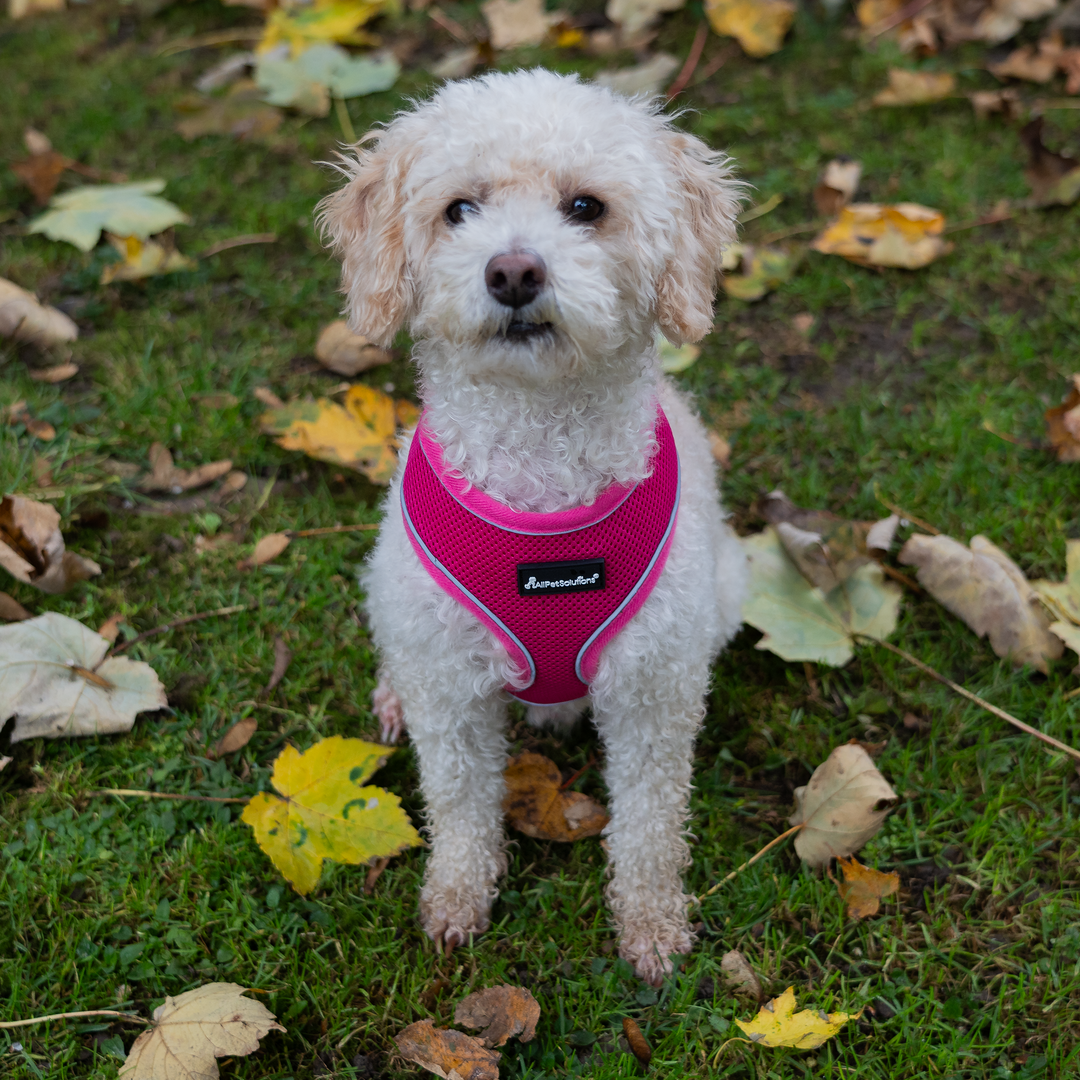 Dog Harness with Reflective Strip in Pink S/M/L/XL