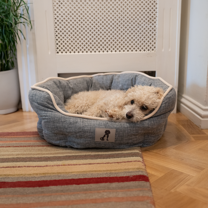 Grey dogs bed best sale