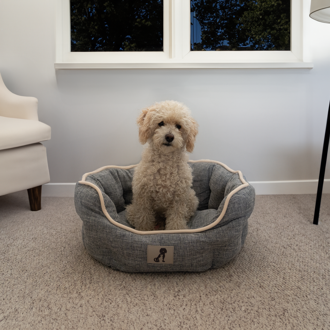 Alfie - Grey Soft Dog Bed  - Size S/M/L