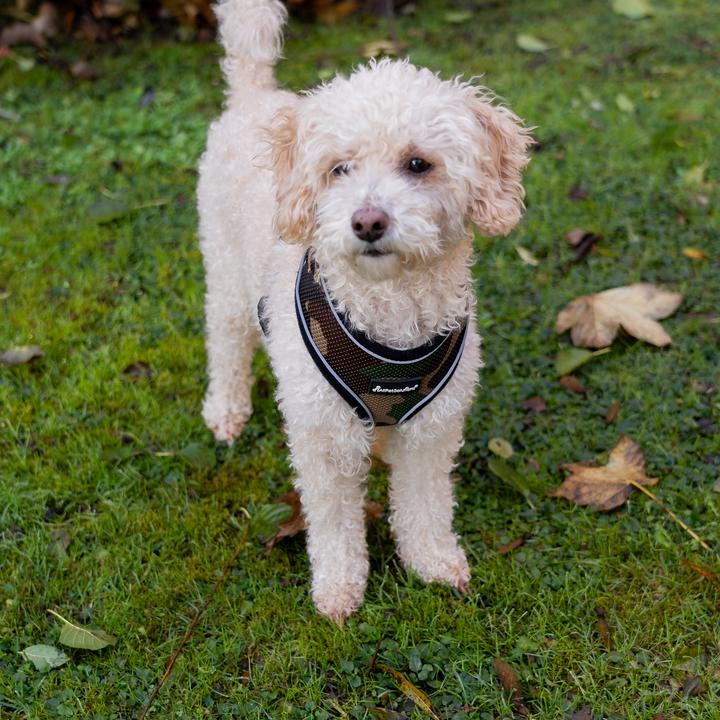 Dog Harness with Reflective Strip in Camo S/M/L/XL