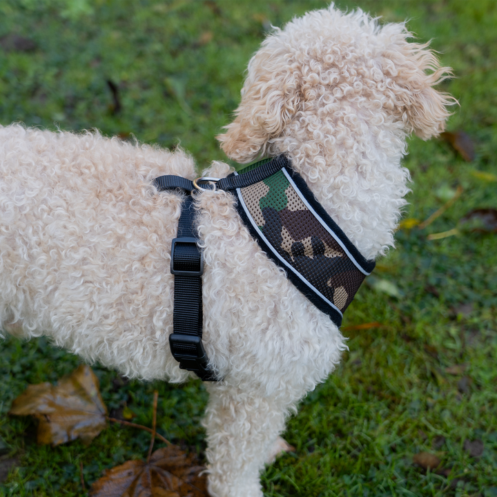 Dog Harness with Reflective Strip in Camo S/M/L/XL