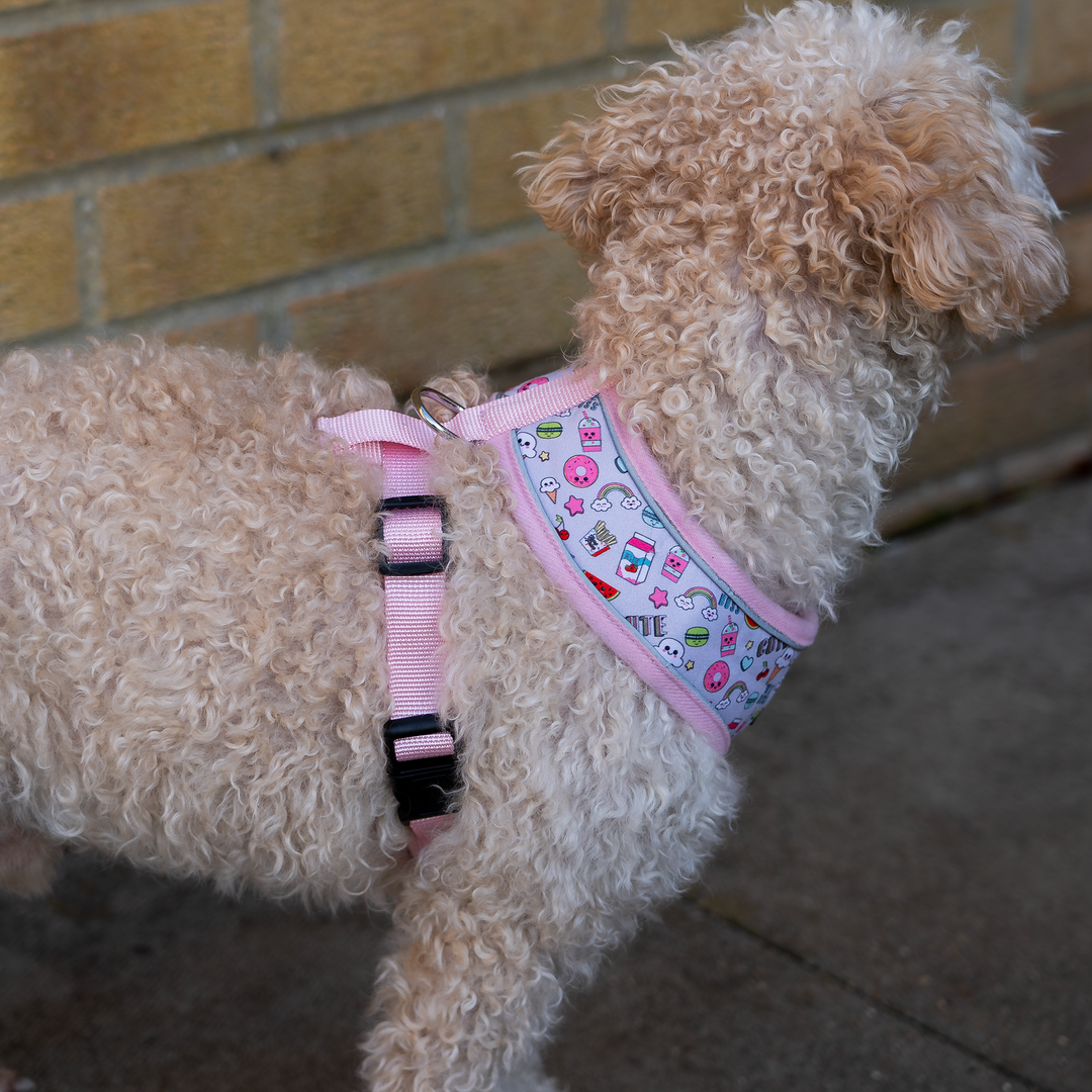 Dog Reflective Strip Harness - Doughnut Print S/M/L