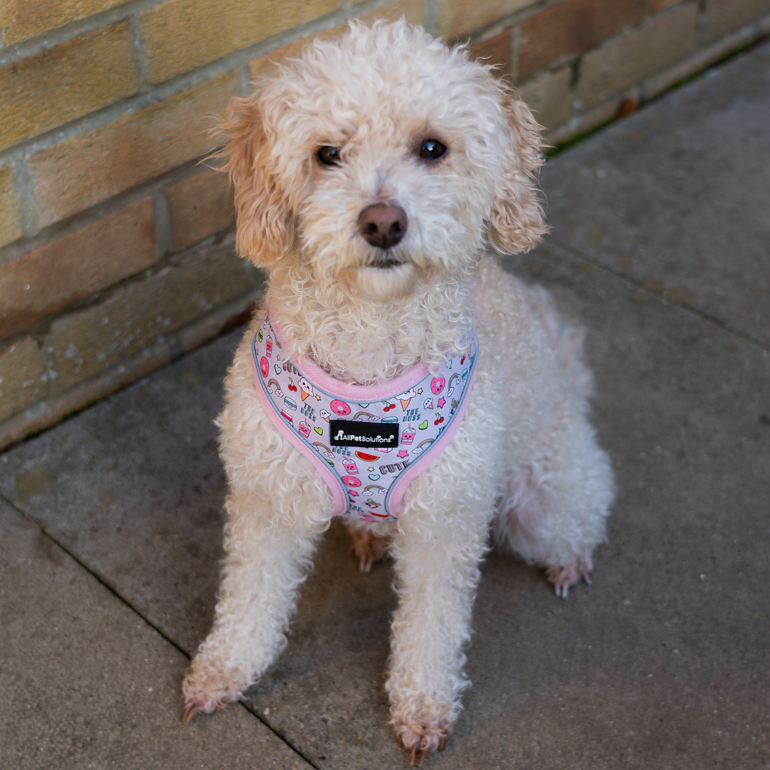 Dog Reflective Strip Harness - Doughnut Print S/M/L