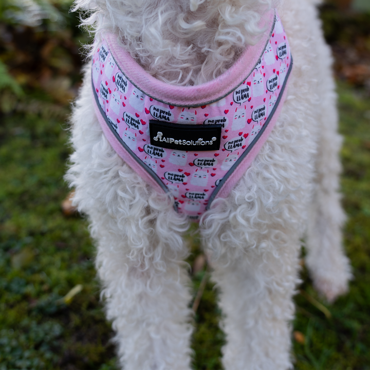 Dog Harness with Reflective Strip - Pink Llama Print S/M/L