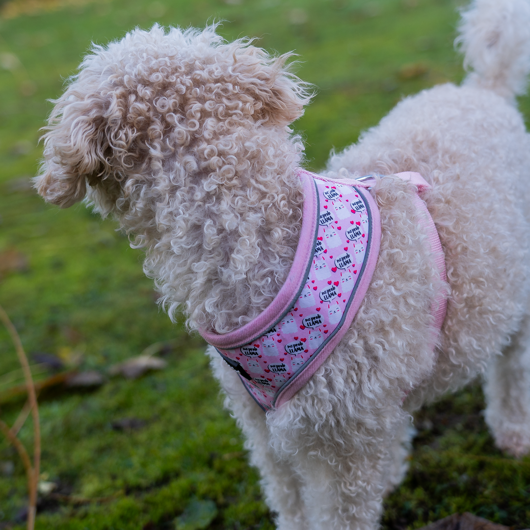 Dog Harness with Reflective Strip - Pink Llama Print S/M/L