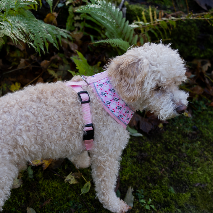 Dog Harness with Reflective Strip - Pink Llama Print S/M/L