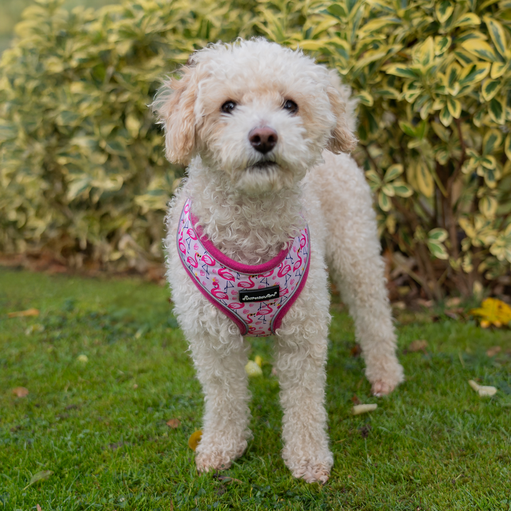 Dog Harness with Reflective Strip Pink - S/M/L