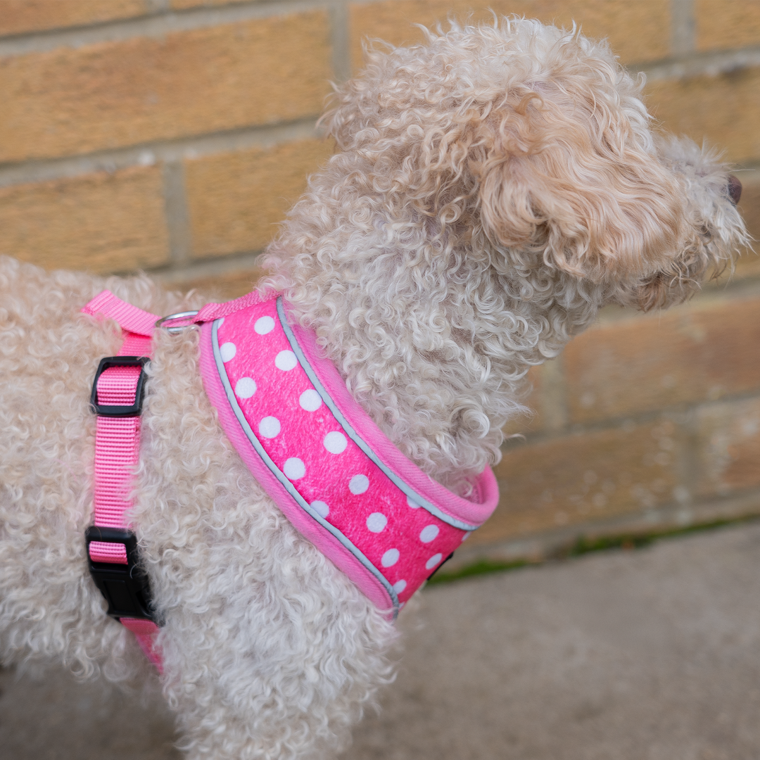 Dog Reflective Harness - Pink Polka Dot S/M/L