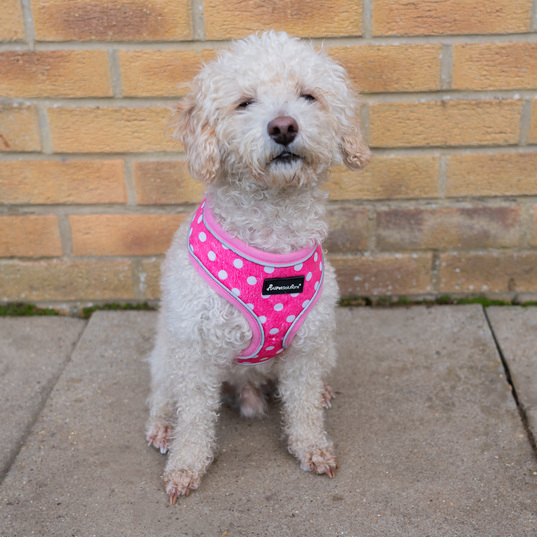 Dog Reflective Harness - Pink Polka Dot S/M/L