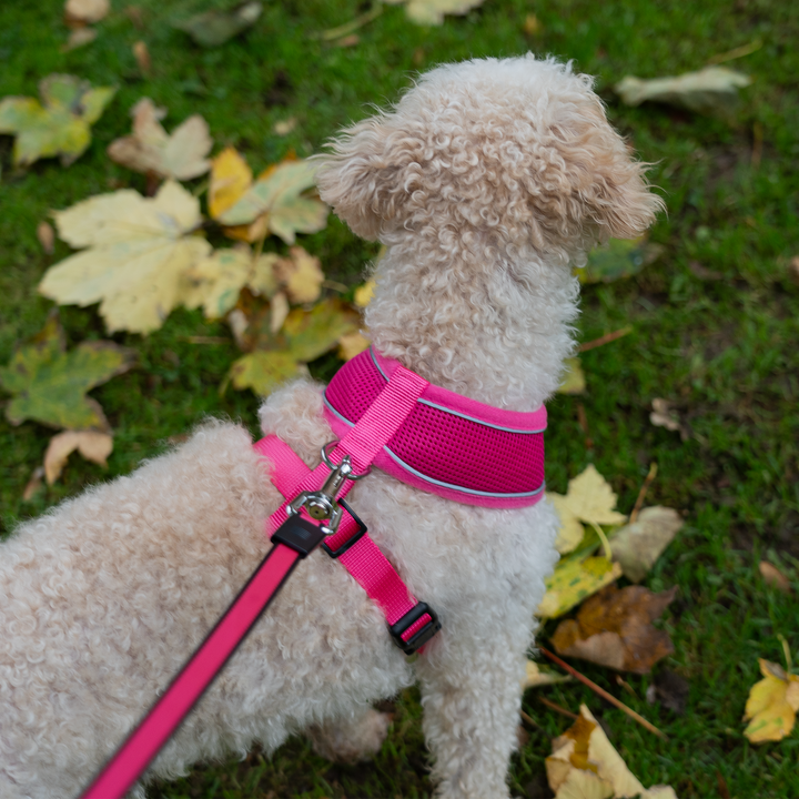 Dog Harness with Reflective Strip in Pink S/M/L/XL