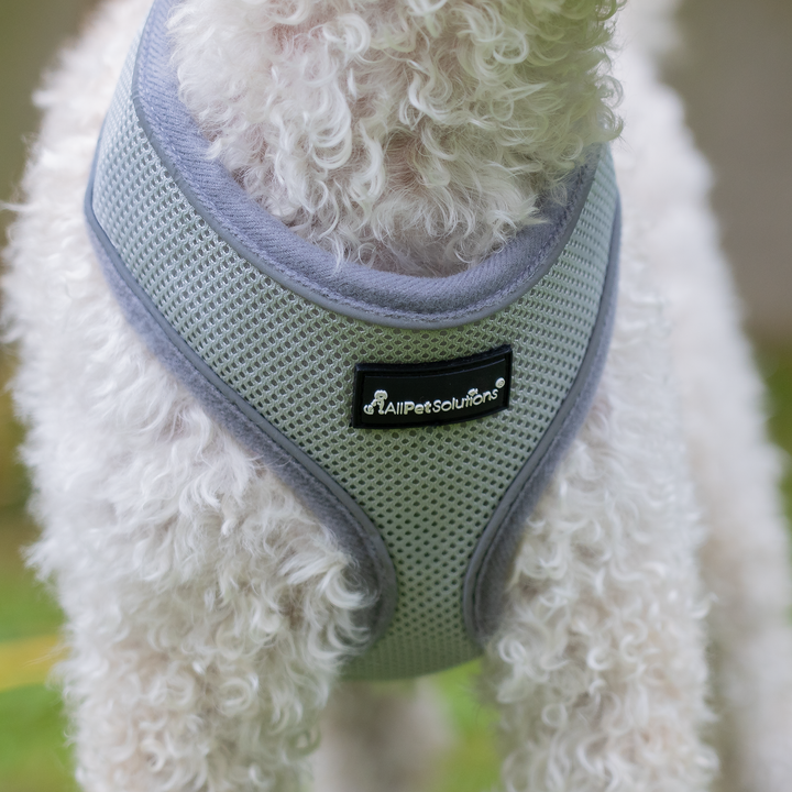 Dog Harness with Reflective Strip in Grey S/M/L/XL