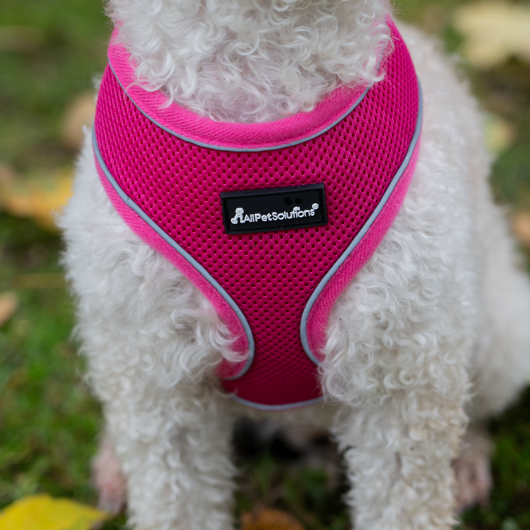 Dog Harness with Reflective Strip in Pink S/M/L/XL