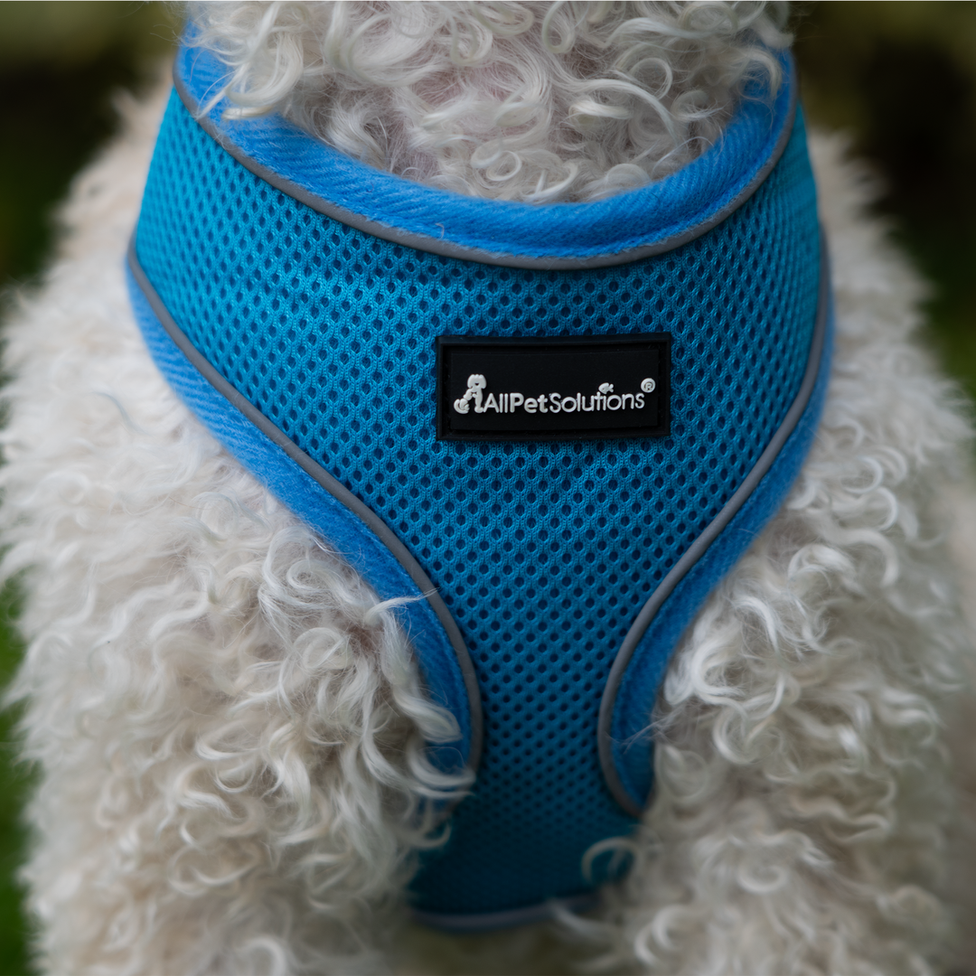 Dog Harness with Reflective Strip in Blue S/M/L/XL