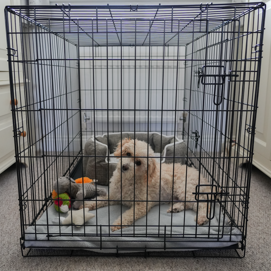 Dog Crate Home Folding Kennel - M 91L x 61W x 66Hcm