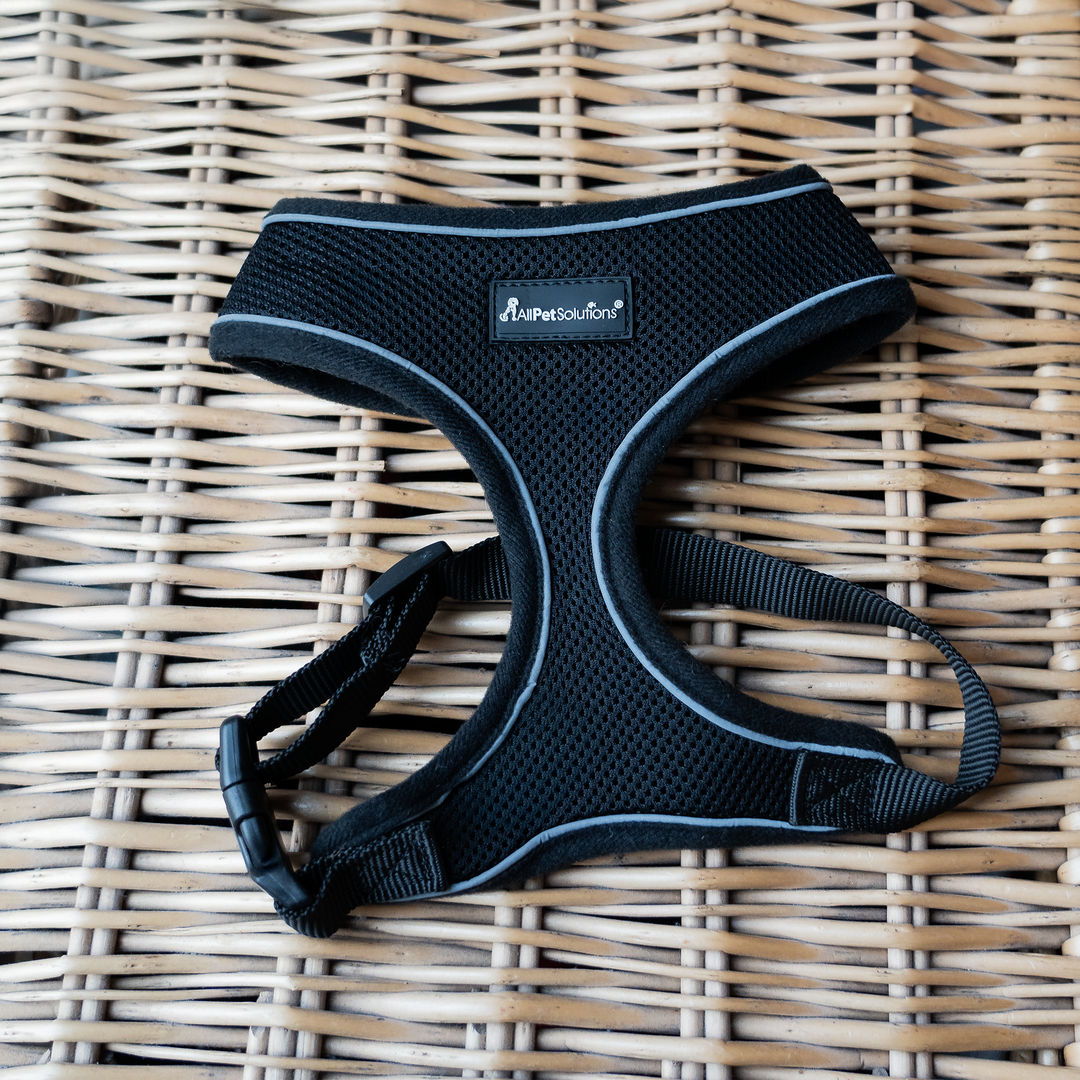 Dog Harness with Reflective Strip in Black S/M/L/XL