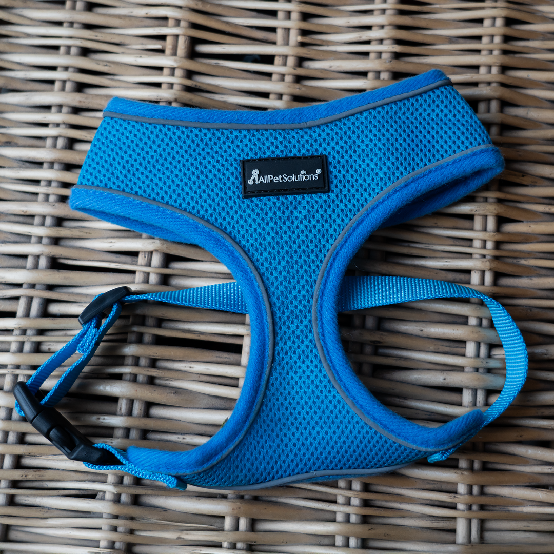 Dog Harness with Reflective Strip in Blue S/M/L/XL