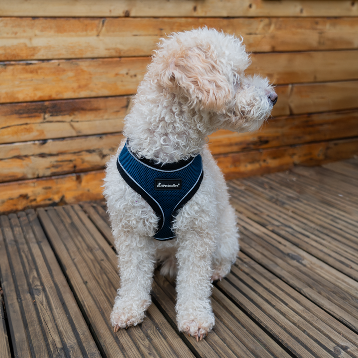 Dog Harness with Reflective Strip Navy S/M/L