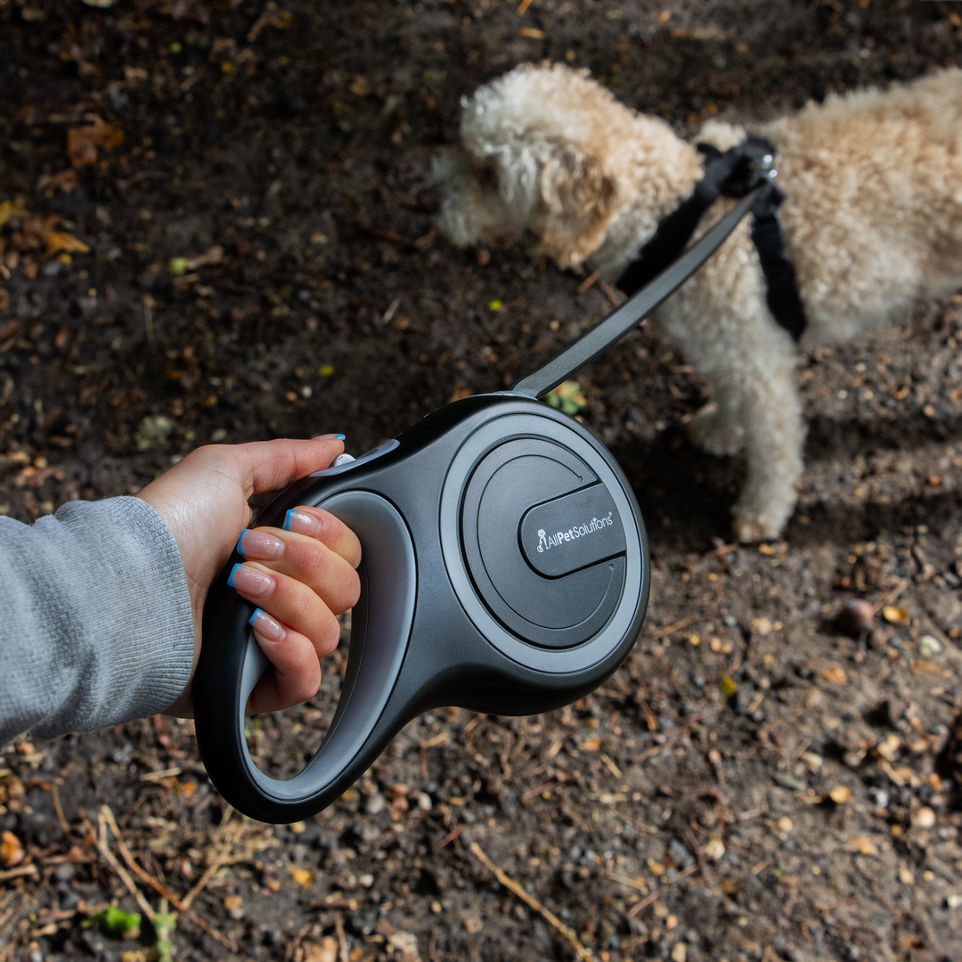 Retractable Dog Lead Grey 3M 5M 8M 15 50KG AllPetSolutions