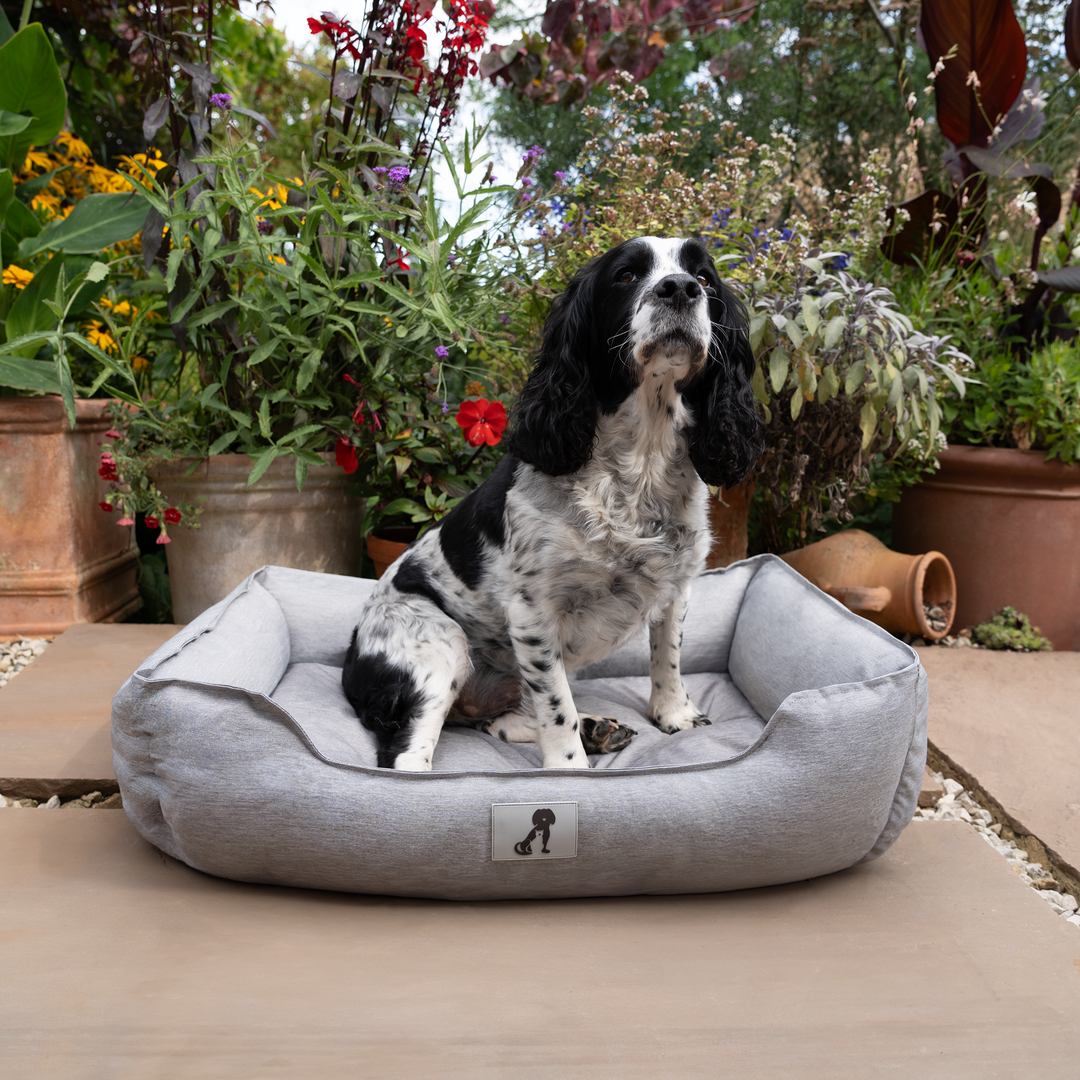 All pet solutions dexter dog bed best sale