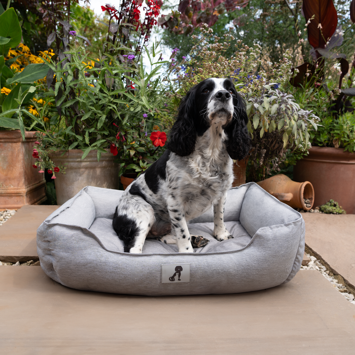 Dexter Waterproof Dog Bed Light Grey- Size S/M/L