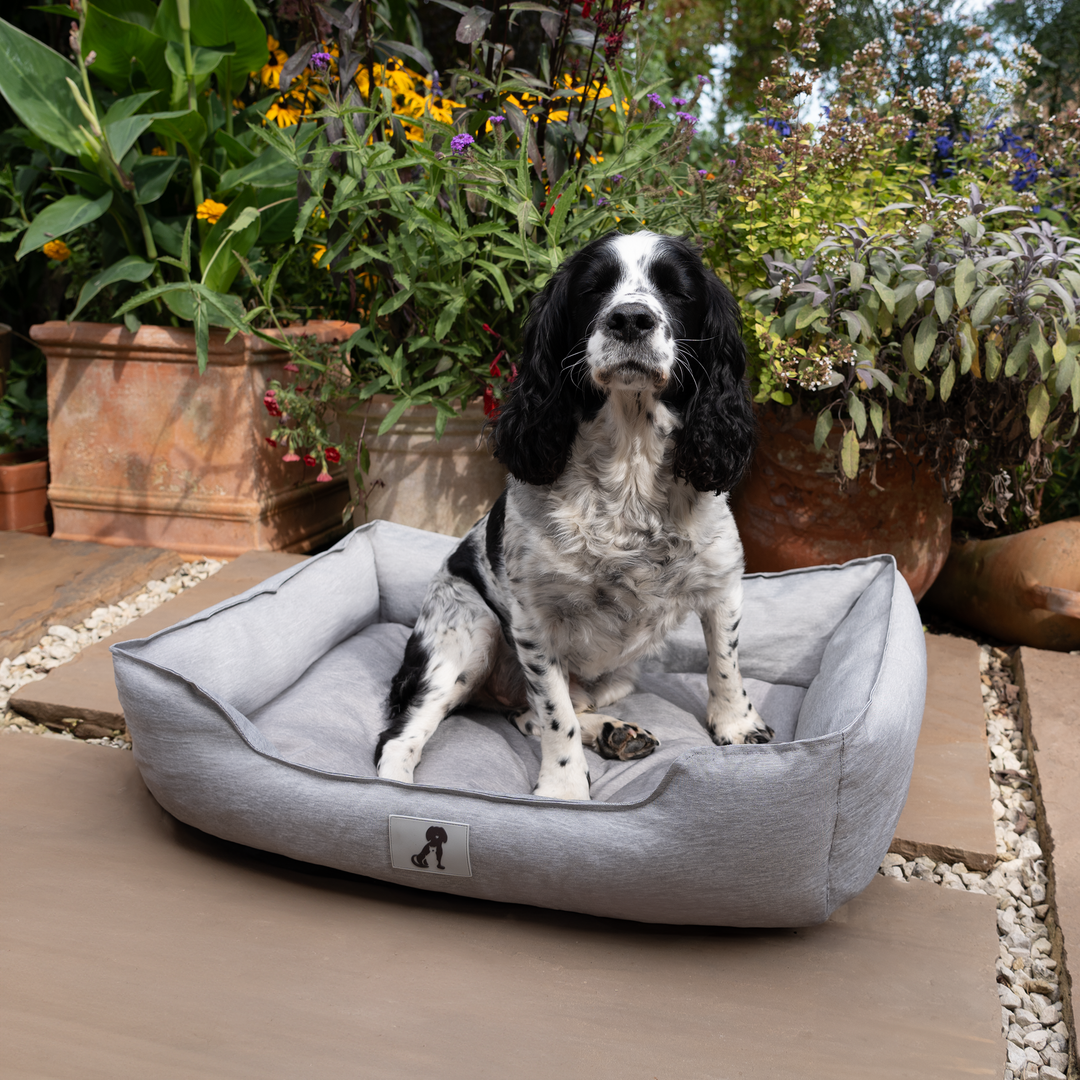 Dexter Waterproof Dog Bed Light Grey- Size S/M/L