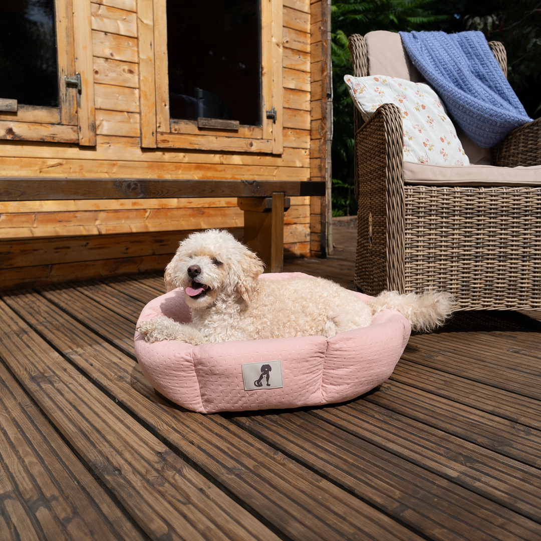 Luna Soft Dog Bed Pink Size S M L AllPetSolutions