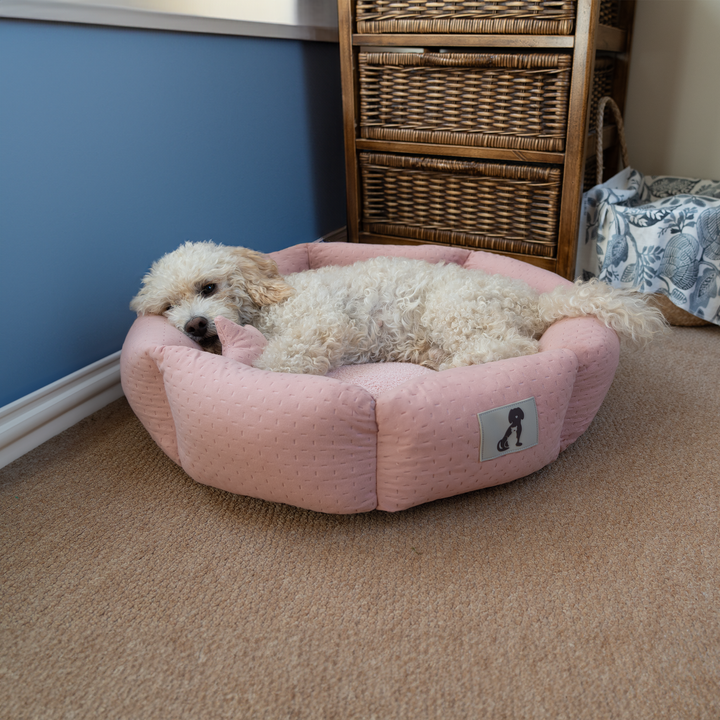 Luna Soft Dog Bed Pink Size S M L AllPetSolutions