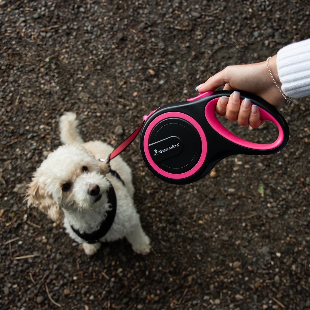 Retractable Dog Lead - Pink 3M / 5M / 8M - 15-50KG