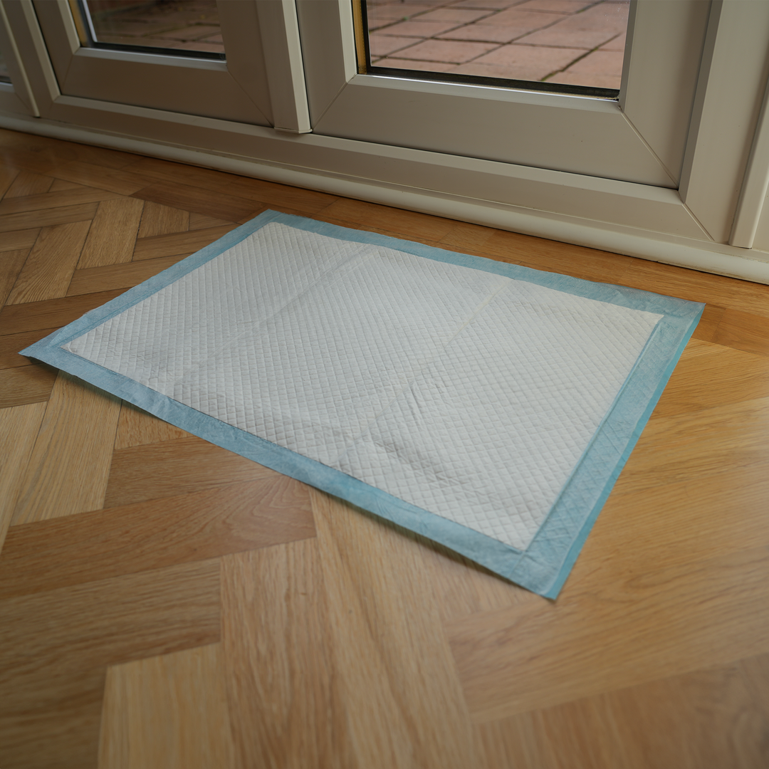 AllPetSolutions 50 x XL Disposable Puppy Pads - 60 x 90cm