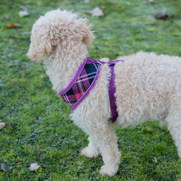 Dog Harness with Reflective Strip in Purple Tartan S/M/L