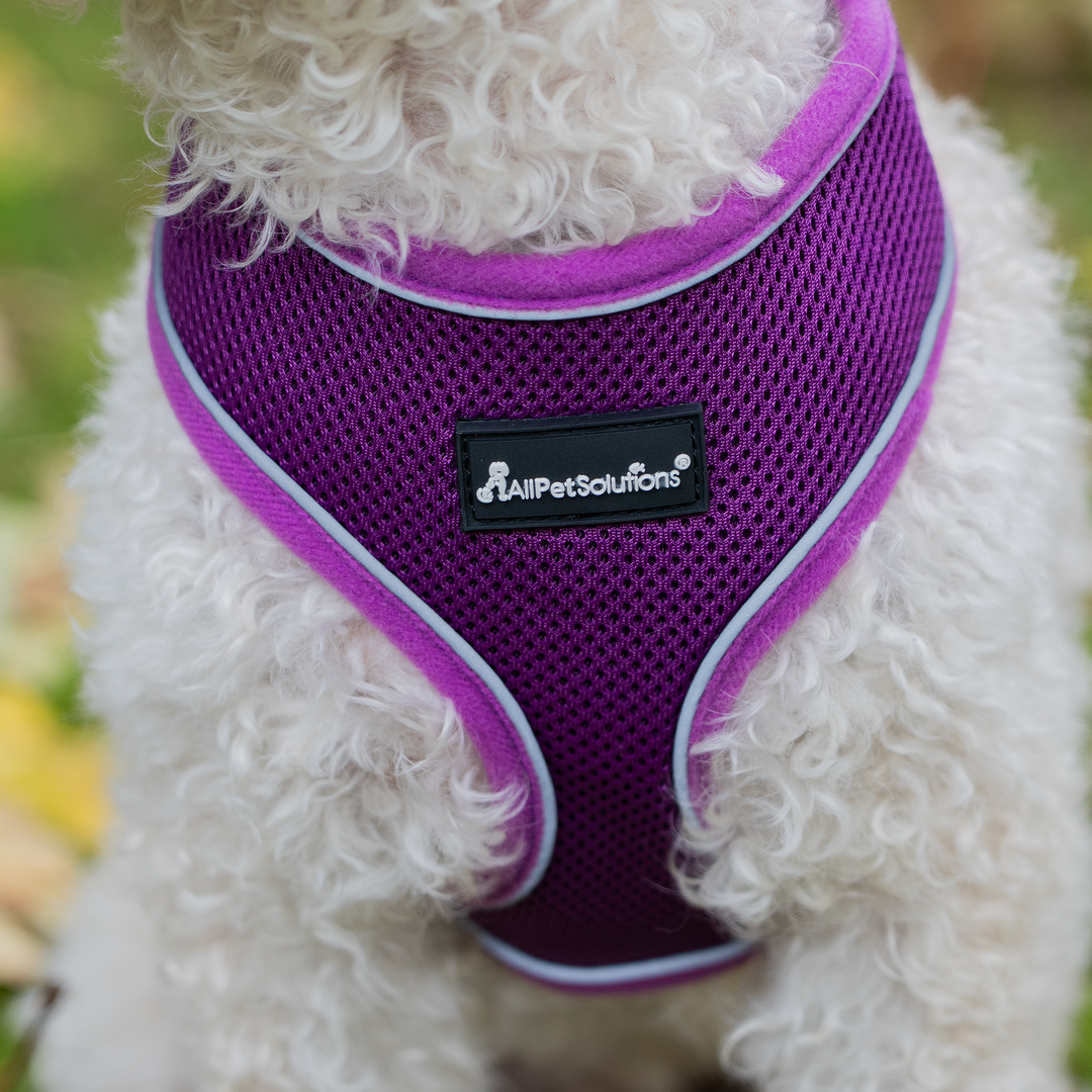 Dog Harness with Reflective Strip in Purple S/M/L/XL