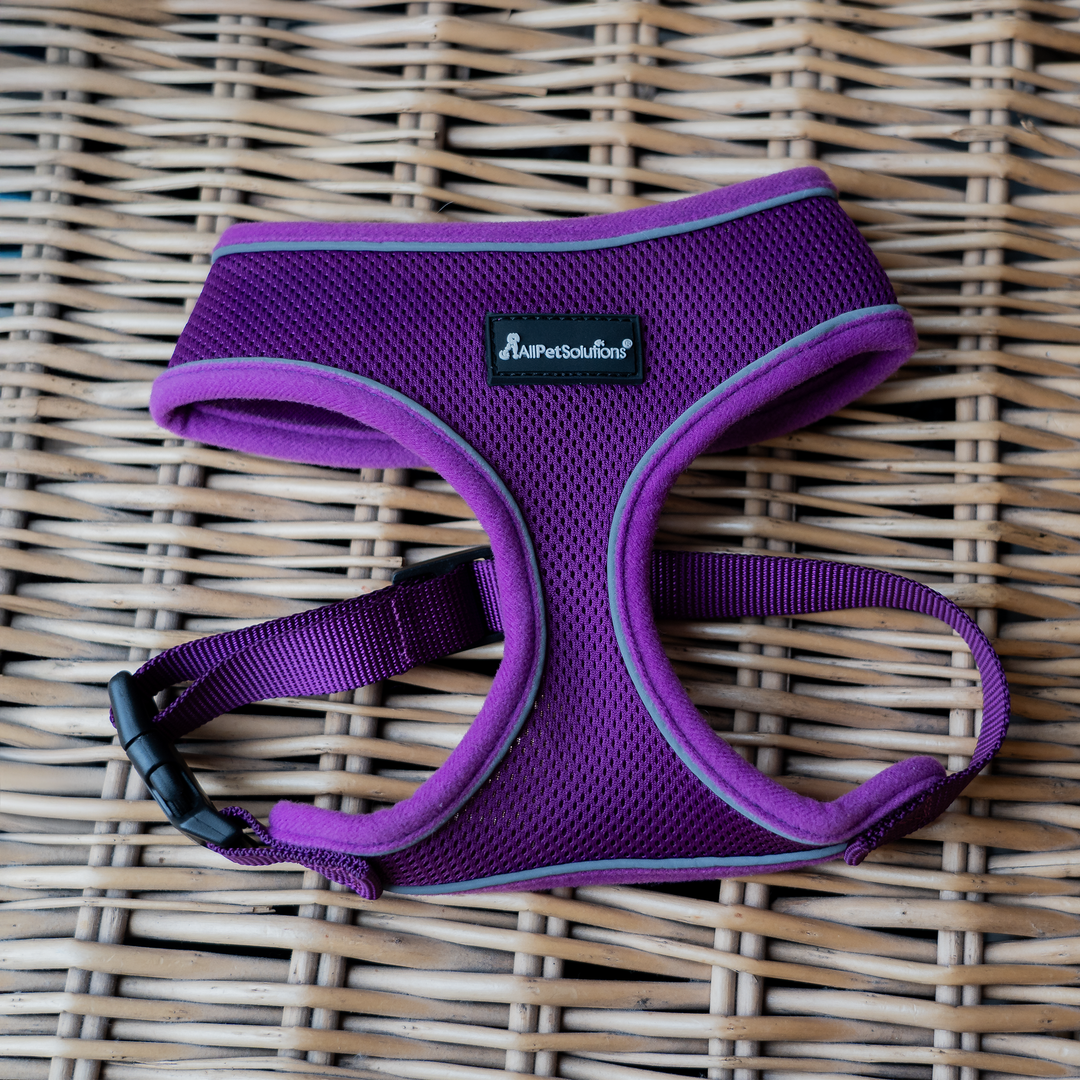 Dog Harness with Reflective Strip in Purple S/M/L/XL