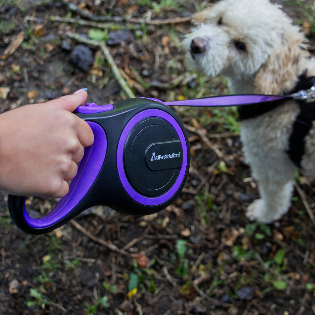 Retractable Dog Lead Purple 3M 5M 8M 15 50KG AllPetSolutions