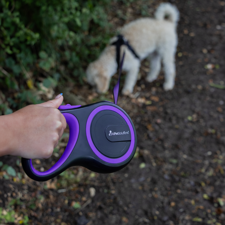 Purple retractable dog leash best sale