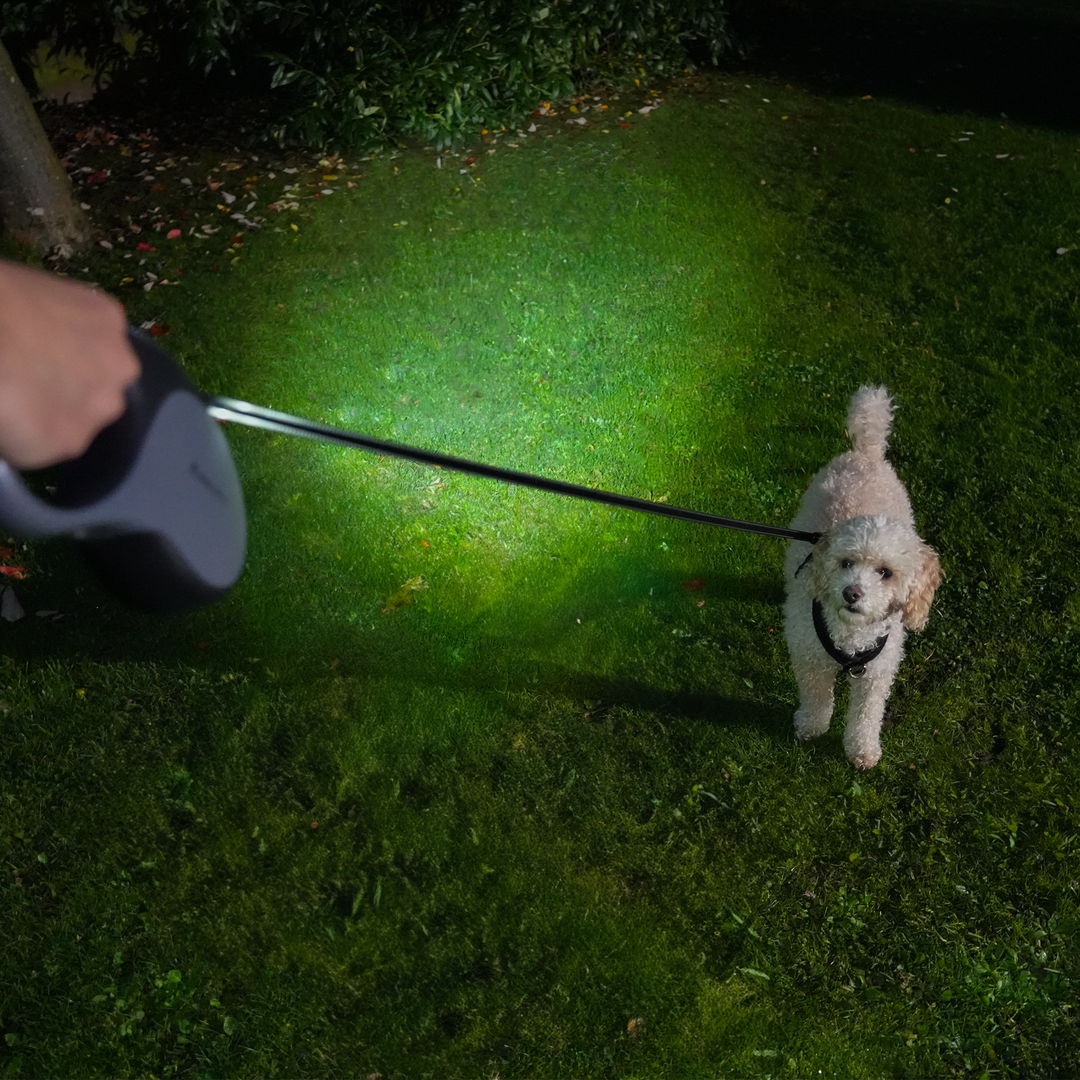 AllPetSolutions Retractable Dog Lead with Rechargeable LED Light - 50KG Grey 5M