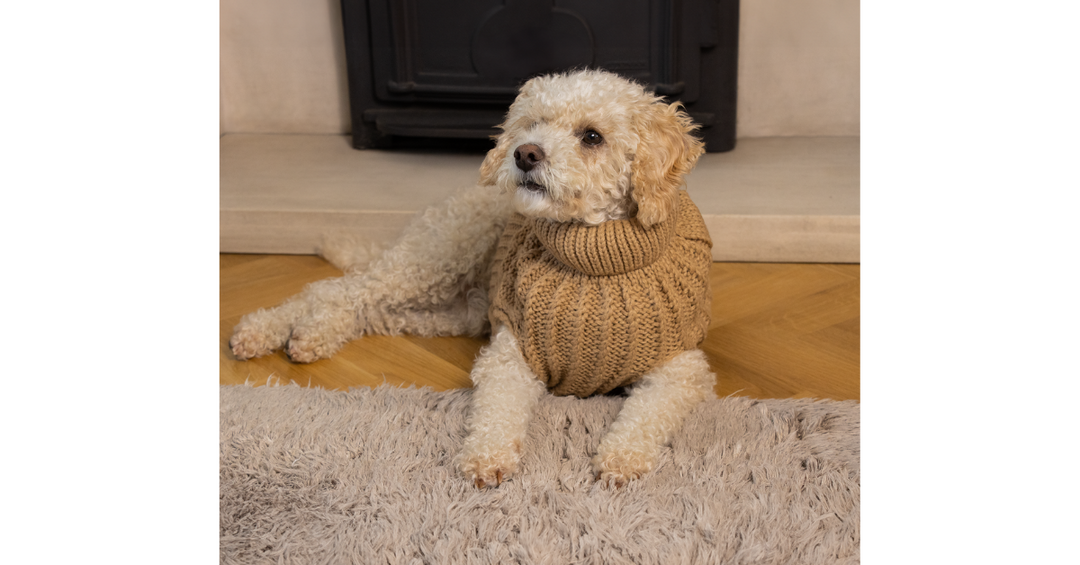 Dog Luxury Knitted Fitted Jumper in Brown – S/M/L