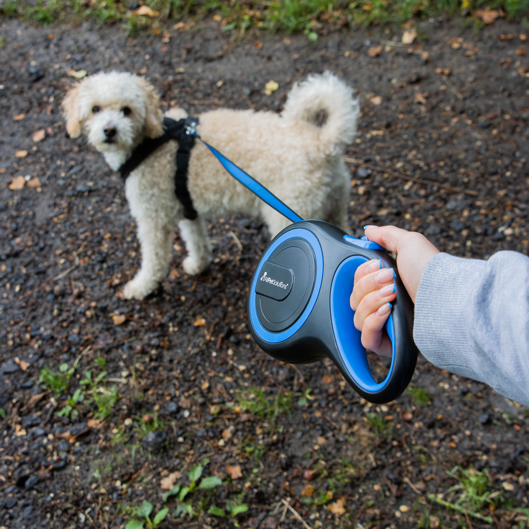 Retractable Dog Lead - Blue 3M / 5M / 8M - 15-50KG