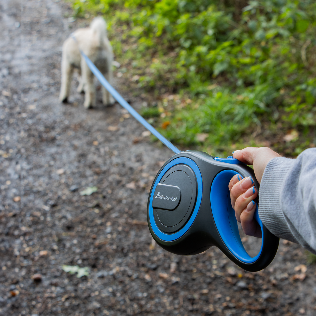 Retractable Dog Lead - Blue 3M / 5M / 8M - 15-50KG