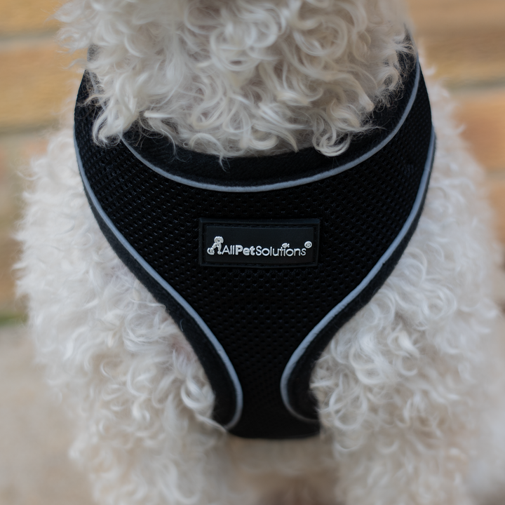 Dog Harness with Reflective Strip in Black S/M/L/XL