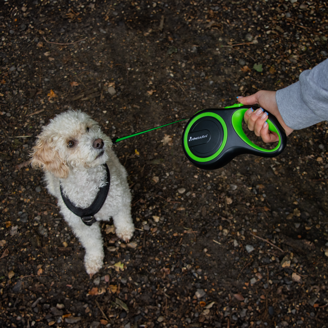 Retractable Dog Lead - Green 3M / 5M / 8M - 15-50KG