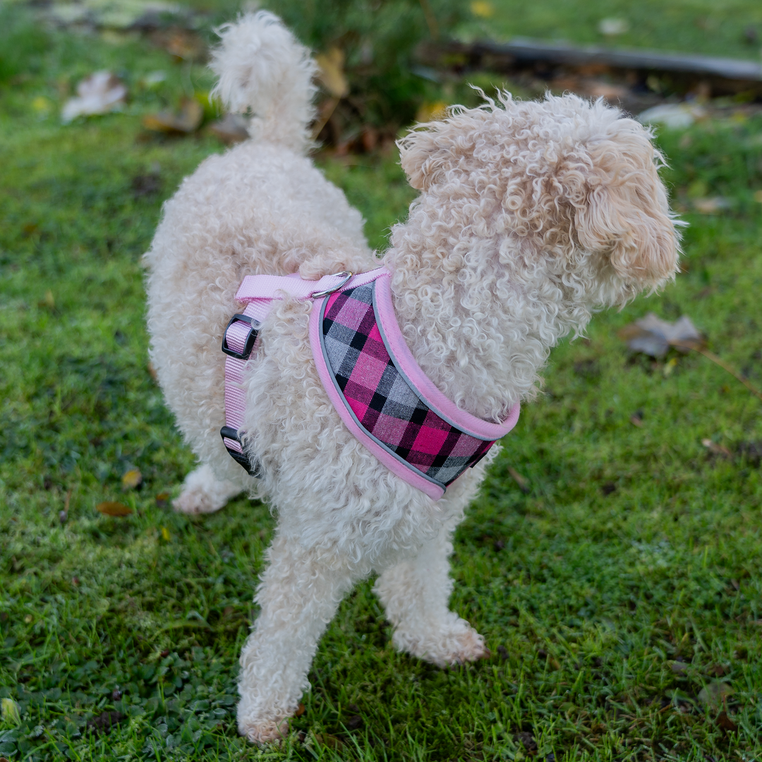 Dog Harness with Reflective Strip in Pink Tartan S/M/L