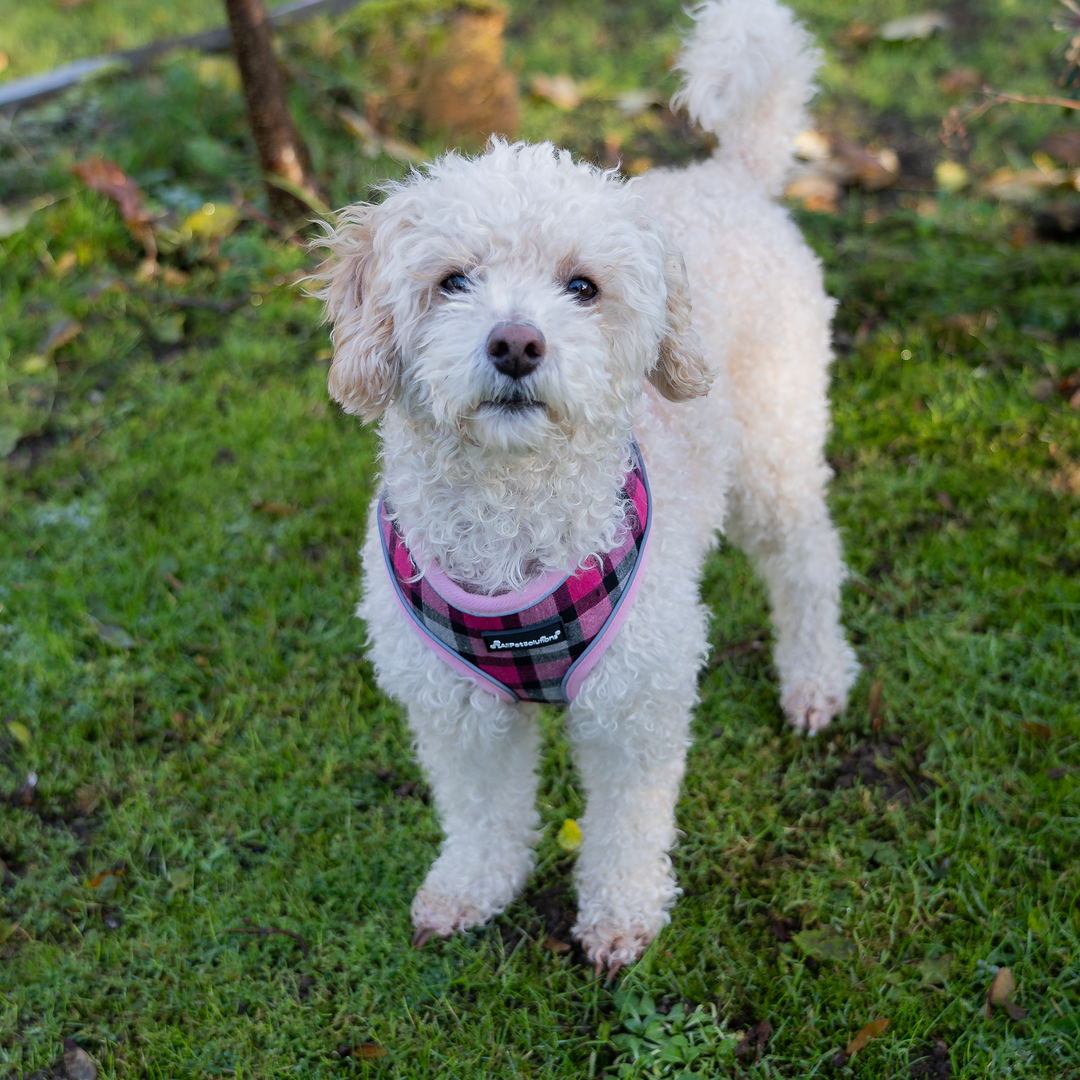 Dog Harness with Reflective Strip in Pink Tartan S/M/L