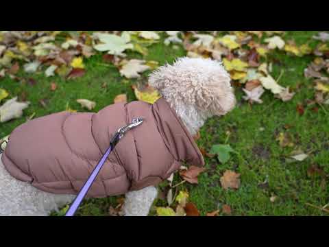 Dog Luxury Showerproof Puffer Jacket in Brown - S / M / L